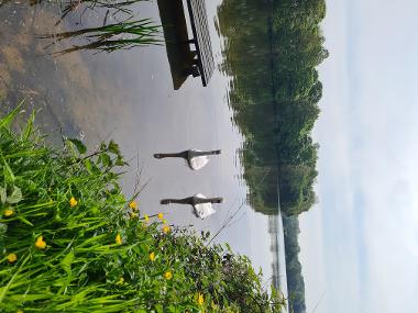 Carr Mill Dam 03