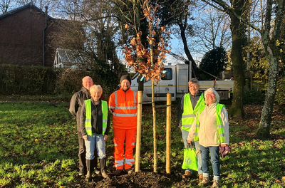 Rainford in Bloom Tree Planting