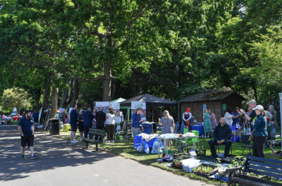 Wellbeing Picnic in Park