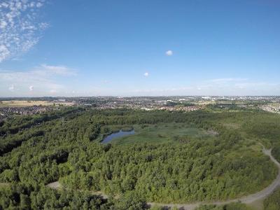 Aerial view of a forest and lagoon at Colliers Moss Common in St Helens
