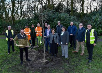 Grow Back Greener Tree Planting