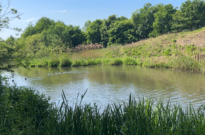 Blackbrook Sankey Valley
